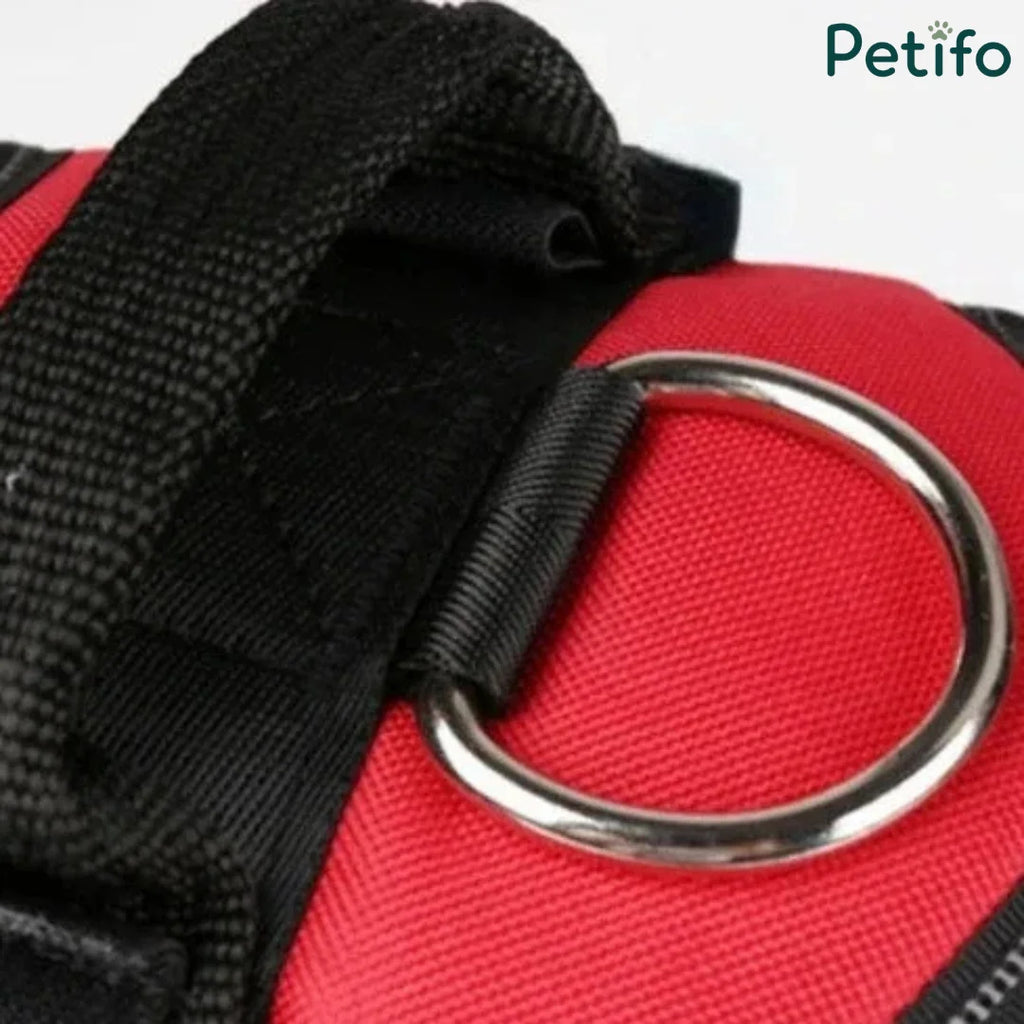 Macro shot of a red and black dog harness featuring a heavy-duty metal D-ring.