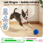 Dog Ball Play longer – charge less - Petifo