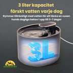 Dog Fountain fresh water every day - Petifo