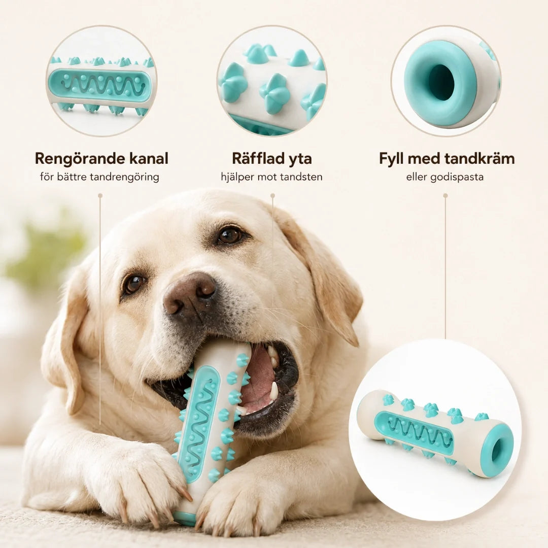 Dog Rubber cleaning channel - Petifo