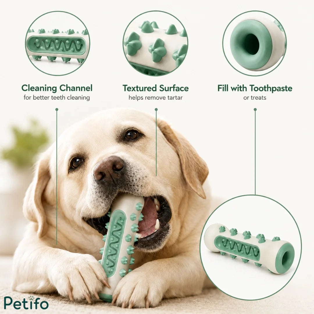infographic highlighting the features of the Petifo dog dental chew toy, including its cleaning channel, textured surface, and toothpaste reservoir.
