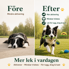 Tug toys 10 pack vs after - Petifo