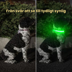 LED Collar for Dogs & Cats From hard to see to clearly visible - Petifo