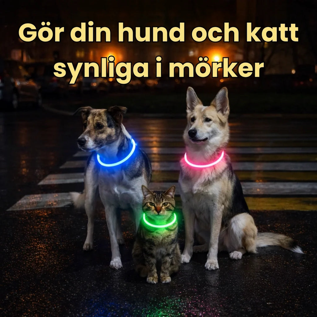 LED Collar for Dogs & Cats Make your dog and cat visible in the dark - Petifo