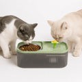 MealStream Water Fountain with Food Bowl - Petifo