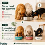 Before-and-after comparison infographic demonstrating how individual personalized pet bowls eliminate mealtime stress and keep feeding organized.