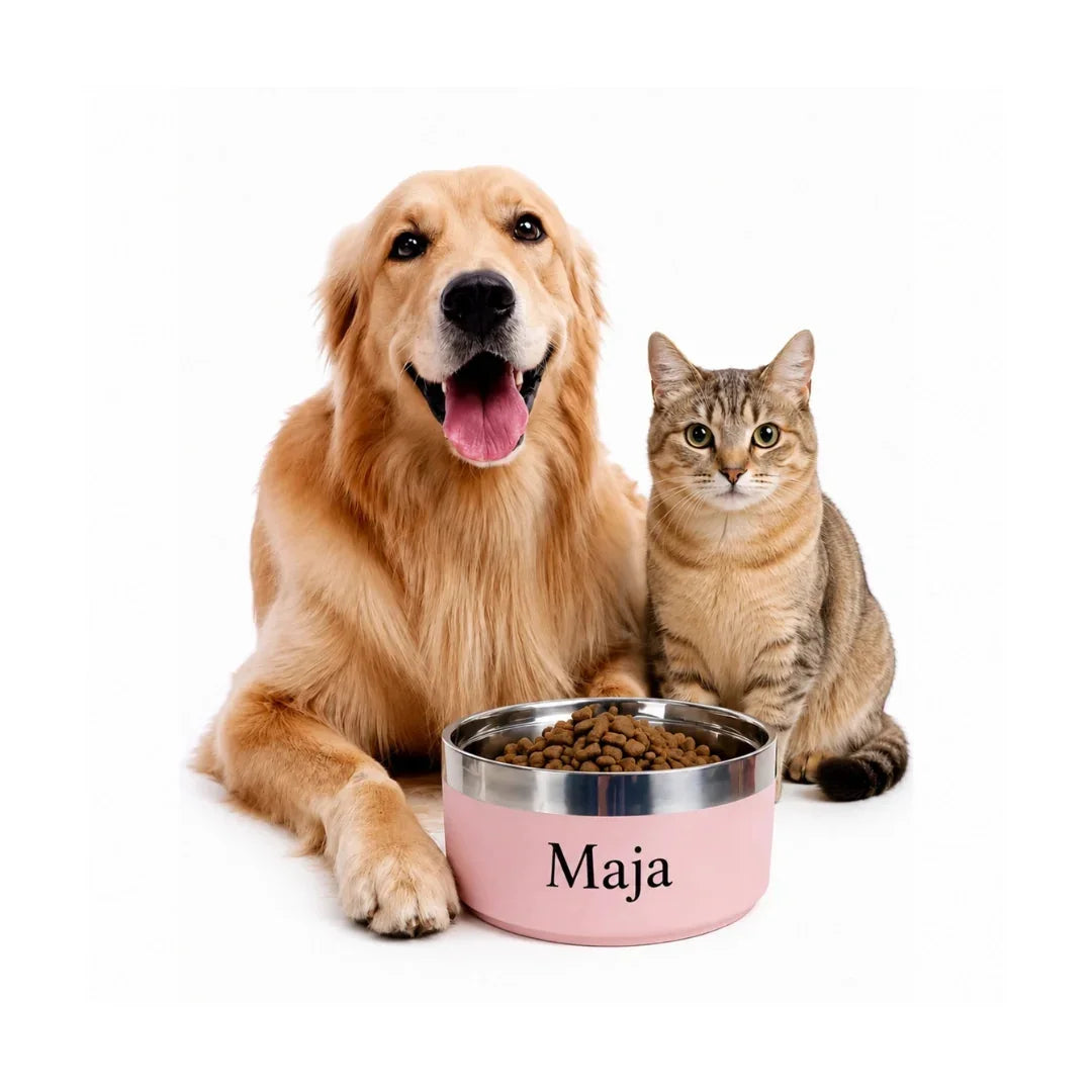 Friendly golden retriever and cat sitting together next to a pastel pink personalized pet food bowl filled with dry kibble.