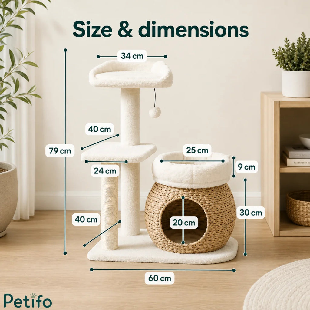 Annotated diagram illustrating the overall height of 79 cm, base width of 60 cm, and precise dimensions of each tier and opening.