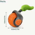 Product dimension infographic showing 5.5cm width and 5.5cm height measurements for the interactive cat ball toy.