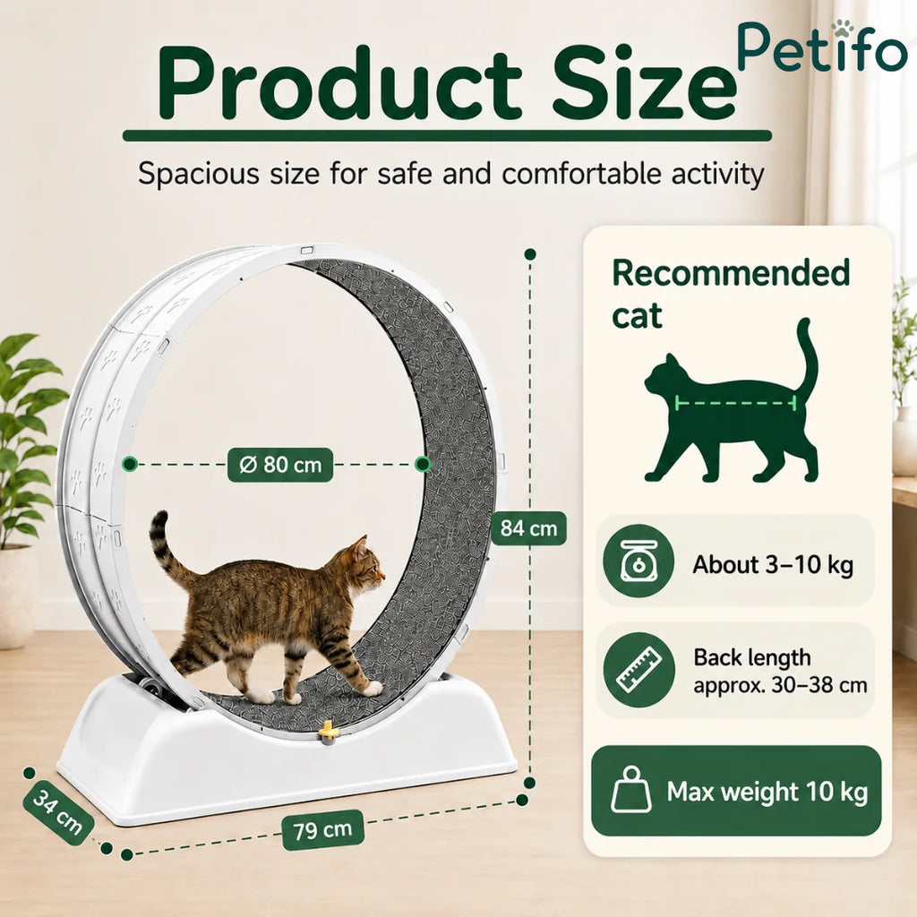 Product dimensions of the Petifo cat exercise wheel, featuring an 80 cm diameter suitable for cats weighing 3–10 kg.