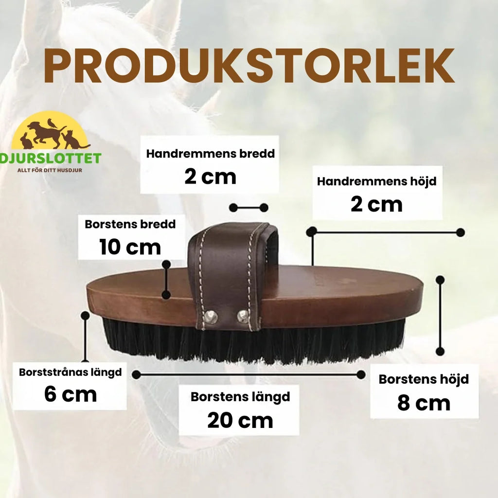 Product size of 2-pack Premium Horse Brush in Wood - Petifo