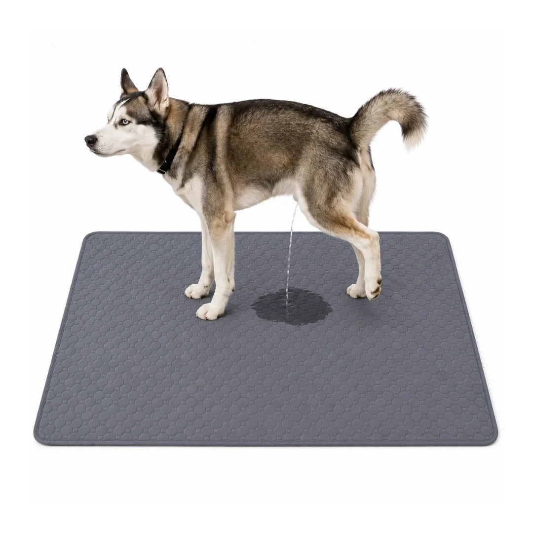 PupClean Washable Puppy Pad XL - Petifo