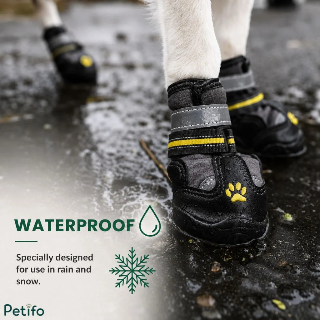 Waterproof winter dog boots standing on wet pavement to show snow and rain resistance.