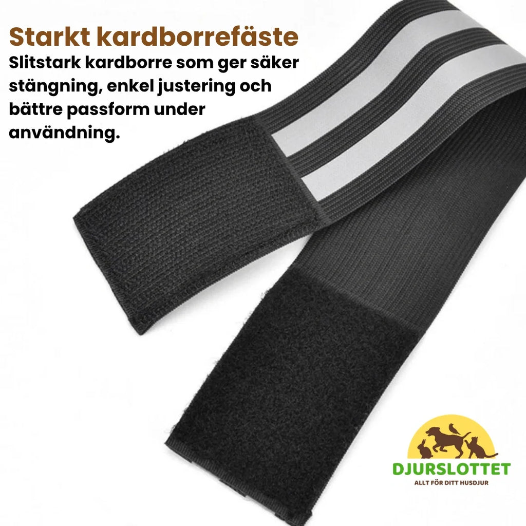 Reflective Leg Protection Horse Strong hook-and-loop fastening - Petifo