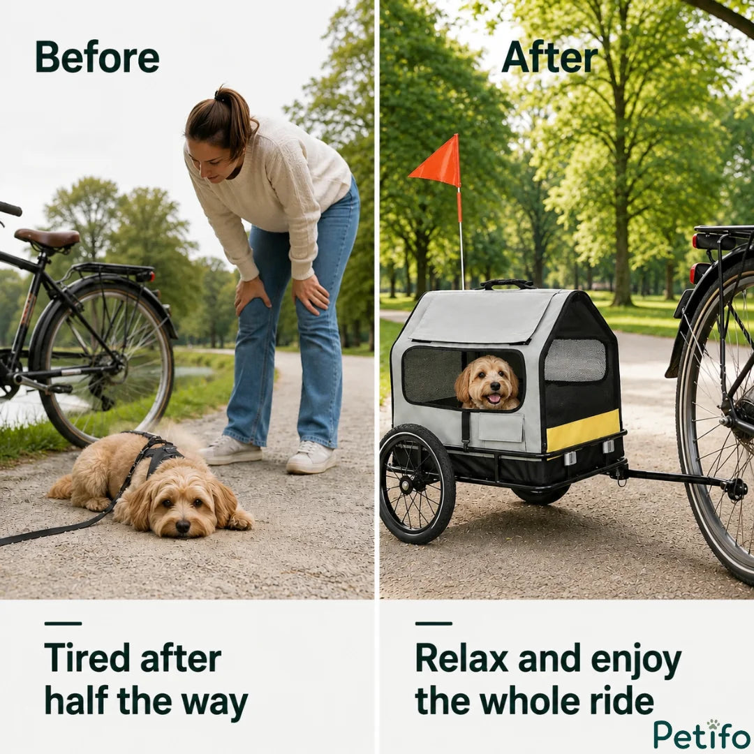 Before and after scenario showing a tired puppy on a leash compared to a happy dog relaxing inside the riding trailer.