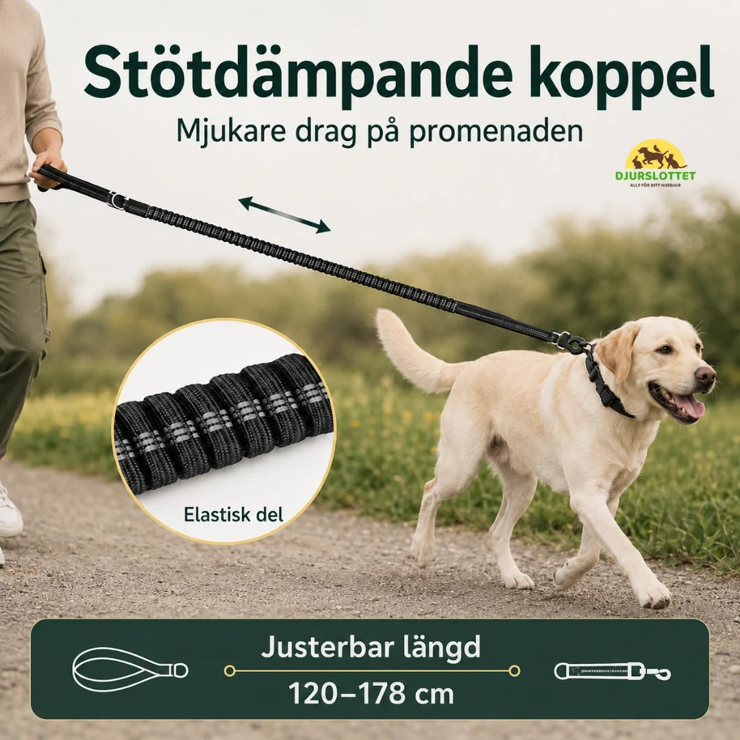 SafePaw Anti-Pull Lead with Seatbelt Attachment adjustable length -  Petifo