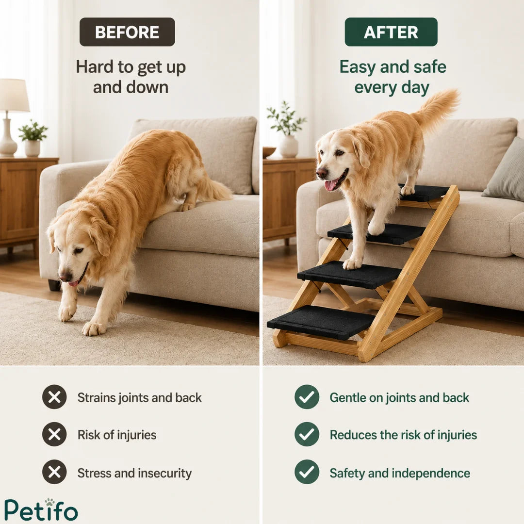 Golden Retriever easily accessing a couch using safe wooden pet steps compared to struggling without them.