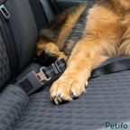 Close-up of a dog's paw resting on a car seat next to a securely clicked pet seat belt buckle.