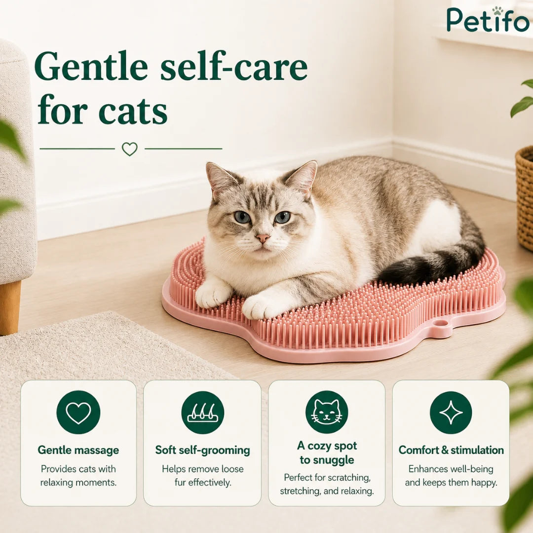 Promotional feature graphic highlighting gentle self-care for cats, featuring four key benefits: gentle massage, soft self-grooming, a cozy spot to snuggle, and comfort and stimulation.