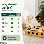 Feature comparison table contrasting the quiet, smart-stimulating, and battery-free wooden toy against regular pet toys, with two cats playing in the background.