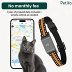 Grey cat sitting in front of a smartphone displaying a tracking map next to a GPS collar.