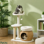 Two cats enjoying a stylish multi-level cat tree featuring a plush top perch and a woven rattan condo in a room with green walls.