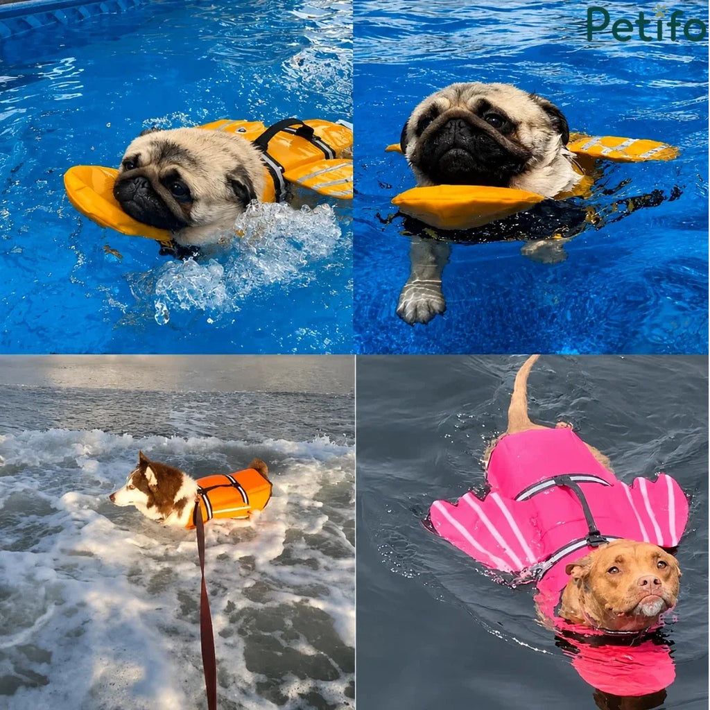 Various dogs swimming safely in a pool and ocean while wearing colorful adjustable dog life vests.