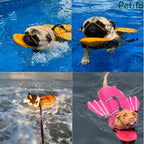 Various dogs swimming safely in a pool and ocean while wearing colorful adjustable dog life vests.