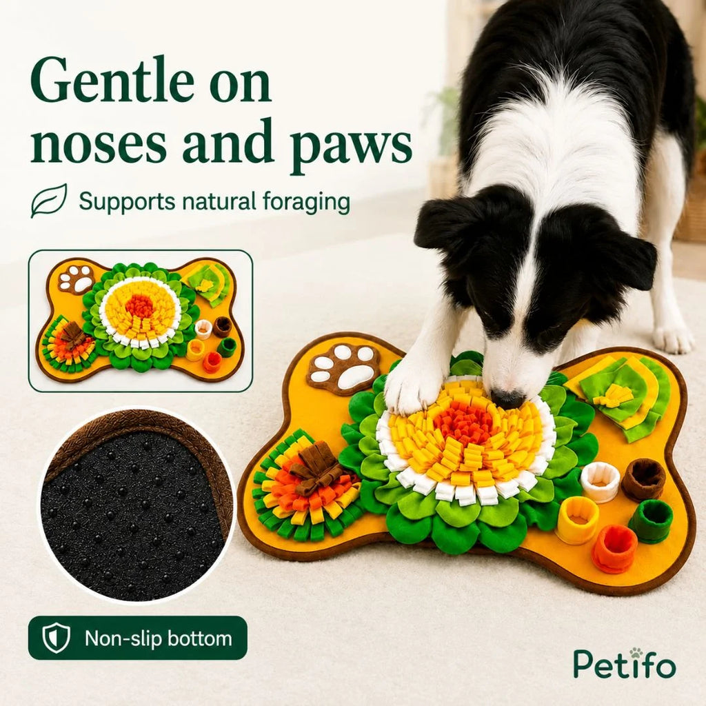 PetSniff aktivitetsmåtte