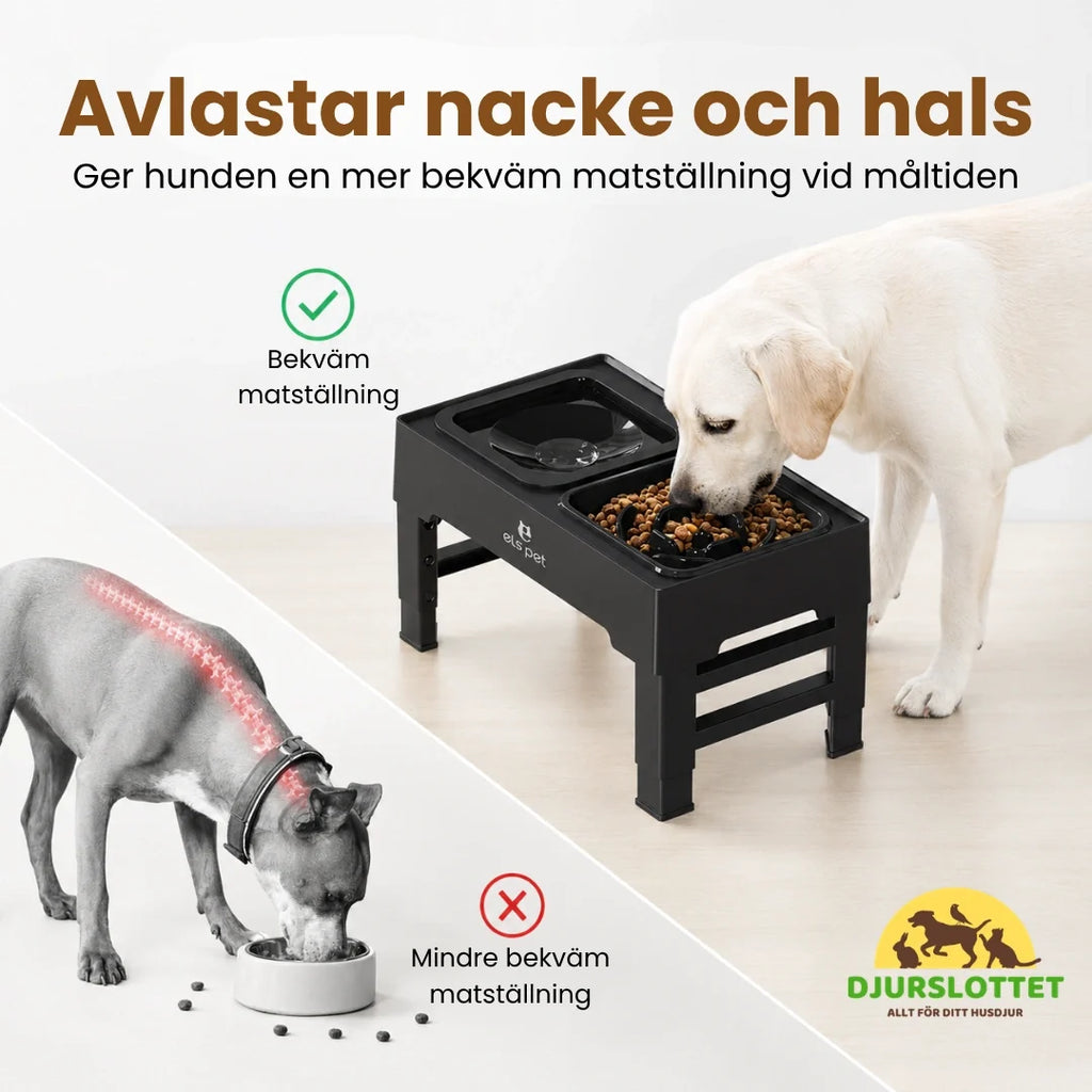 UpFeed Pro Raised Slow Feeder & Anti-Spill Food Bowl Relieves neck and throat - Petifo