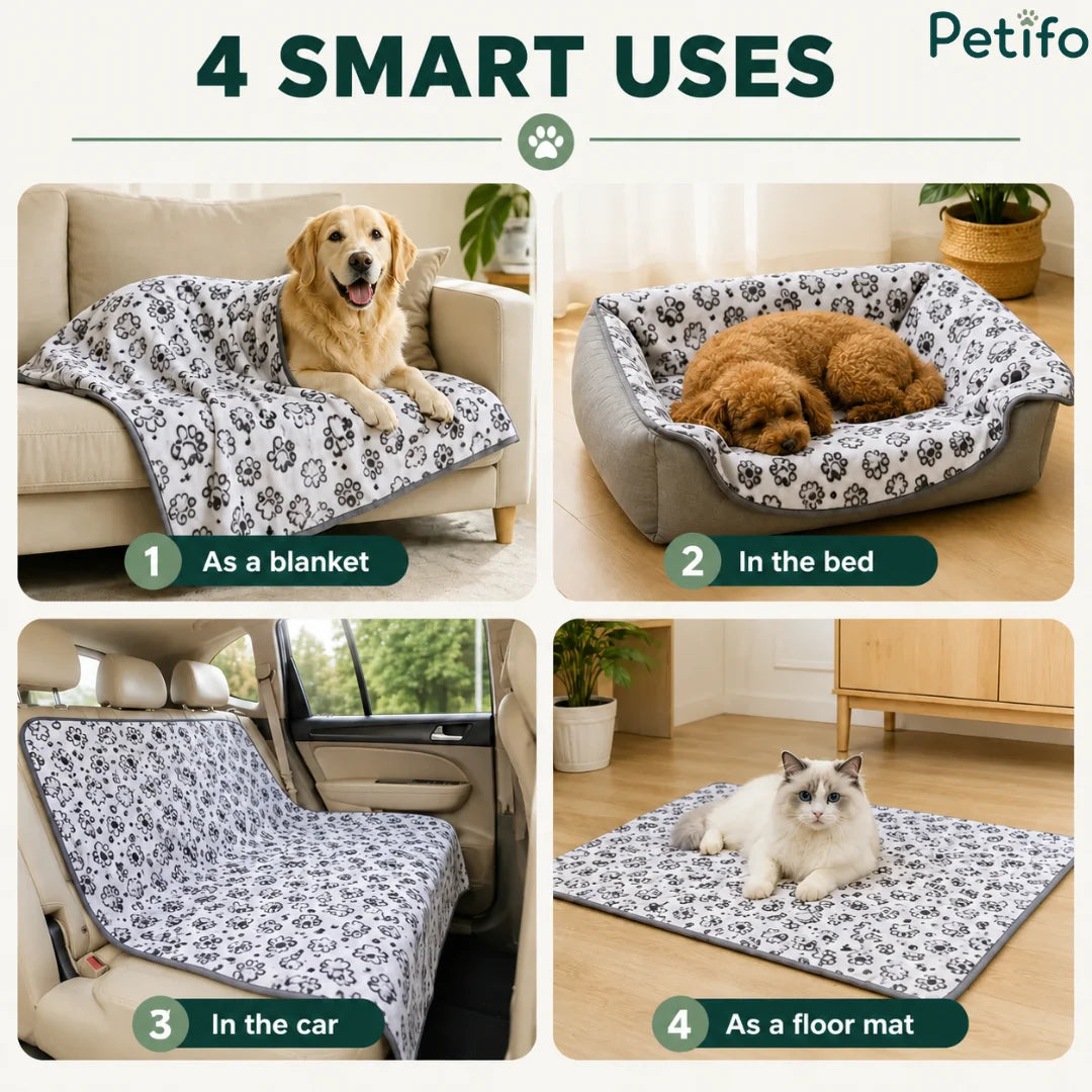 Four-panel lifestyle showcase demonstrating the versatile uses of the pet blanket on a sofa, in a pet bed, inside a car, and as a floor mat.