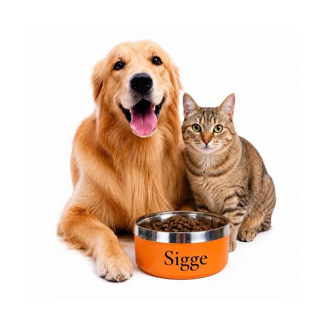 Golden retriever and tabby cat posing beside a vibrant orange personalized stainless steel pet food bowl against a white studio background.