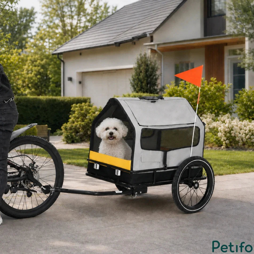 White bicycle towing a grey and yellow pet trailer with a cute bichon frise sitting inside outside a house.