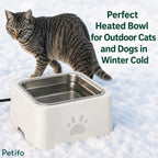 Tabby cat standing next to a white heated water bowl outdoors in the winter snow.
