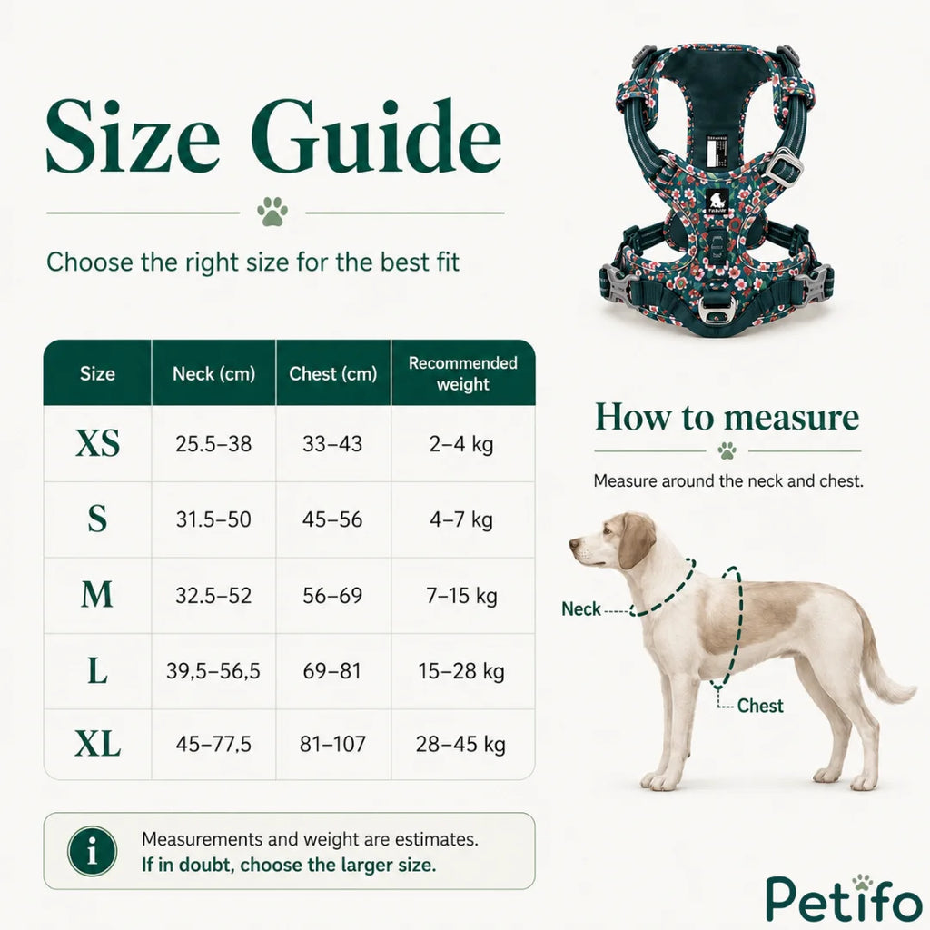 Comprehensive pet harness size chart and measurement guide displaying sizing dimensions from extra small to extra large alongside a visual dog reference.