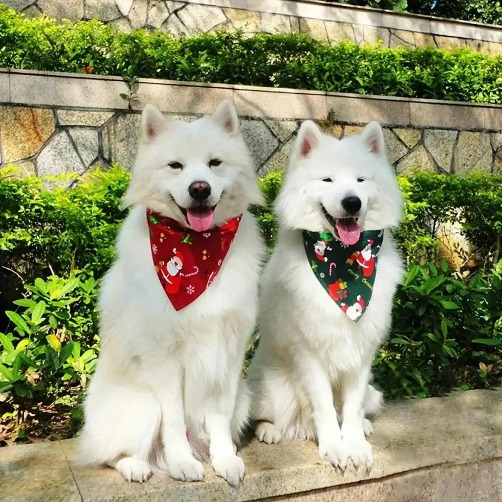 Christmas Bandana for Dogs Christmas style -Petifo