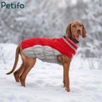Red and grey quilted winter dog jacket worn by a dog standing outdoors in the snow.