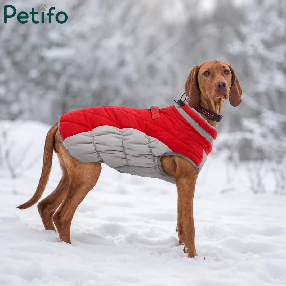 Red and grey quilted winter dog jacket worn by a dog standing outdoors in the snow.
