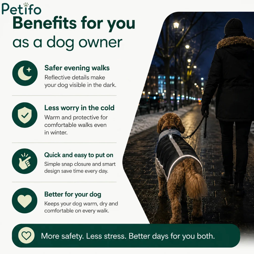 Infographic outlining key dog owner benefits including safer evening walks, cold weather protection, and quick-put-on design.