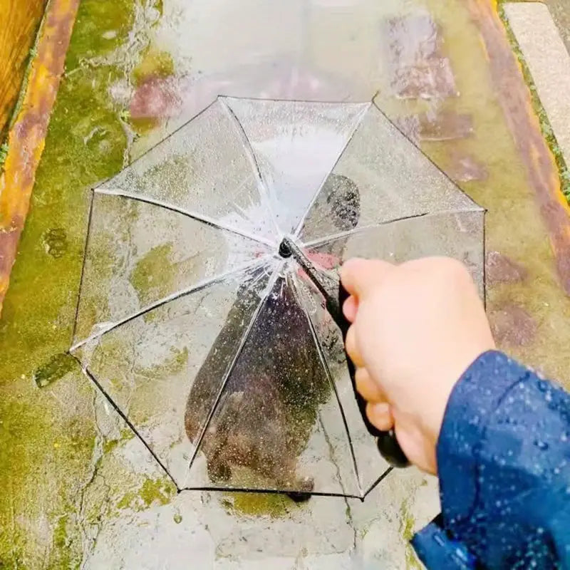 RainPaw Dog Umbrella with Lead - Petifo