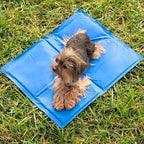 FrostyPaws Cooling Mat - Petifo