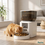 PawHut 4L camera feeder: Orange cat using the smart feeder in a living room - Petifo