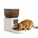 PawHut 4L camera feeder: Cat eating from a 4 L smart automatic pet feeder - Petifo