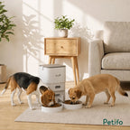 PawHut 4L dual-bowl feeder: Dual-bowl automatic feeder serving two pets at home - Petifo