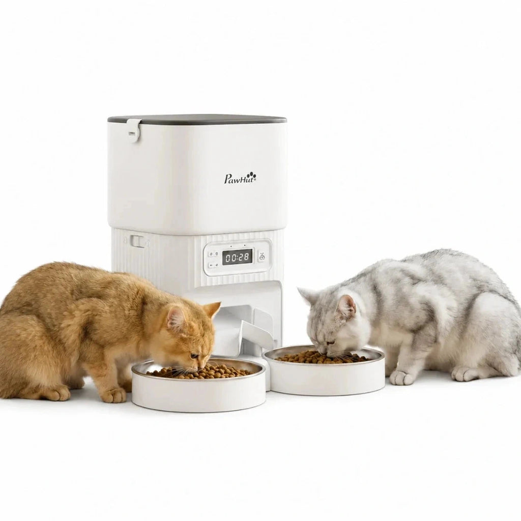 PawHut 4L dual-bowl feeder: Cats and dog eating from a dual-bowl automatic pet feeder - Petifo