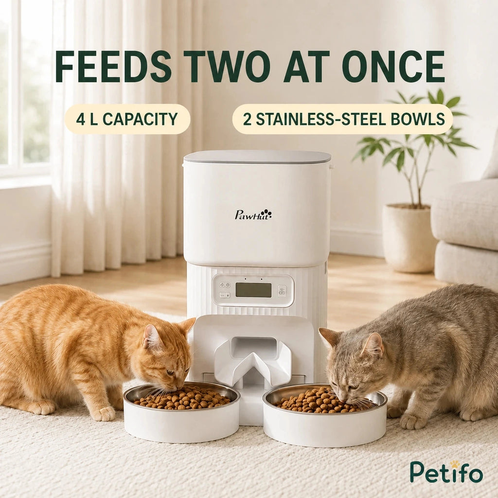 PawHut 4L dual-bowl feeder: Two cats eating from the 4 L feeder with two bowls - Petifo