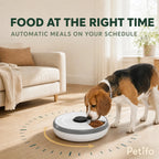 PawHut 6-meal pet feeder: Beagle eating an automatically served scheduled meal - Petifo