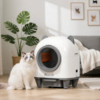 PawHut automatic litter box in a bright home with a cat - Petifo