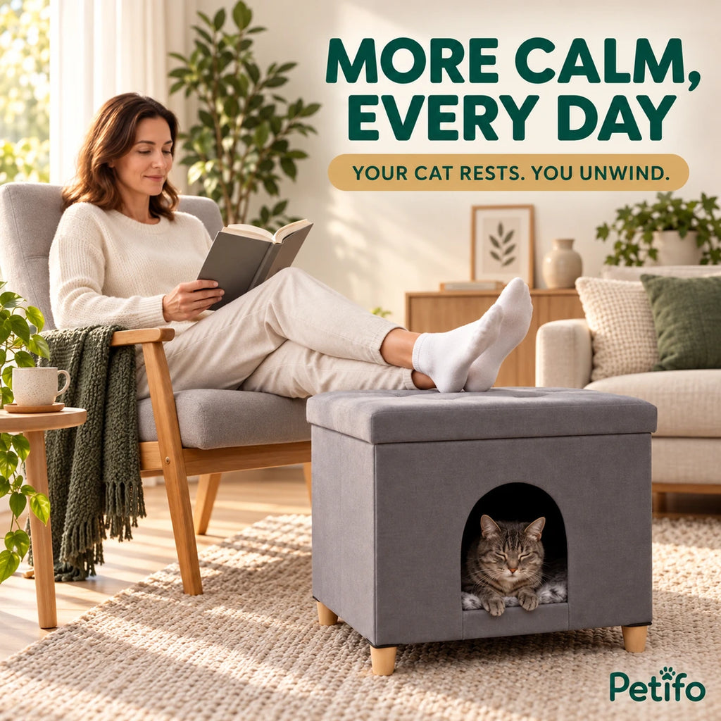 PawHut Cat House & Footstool – more calm - Petifo