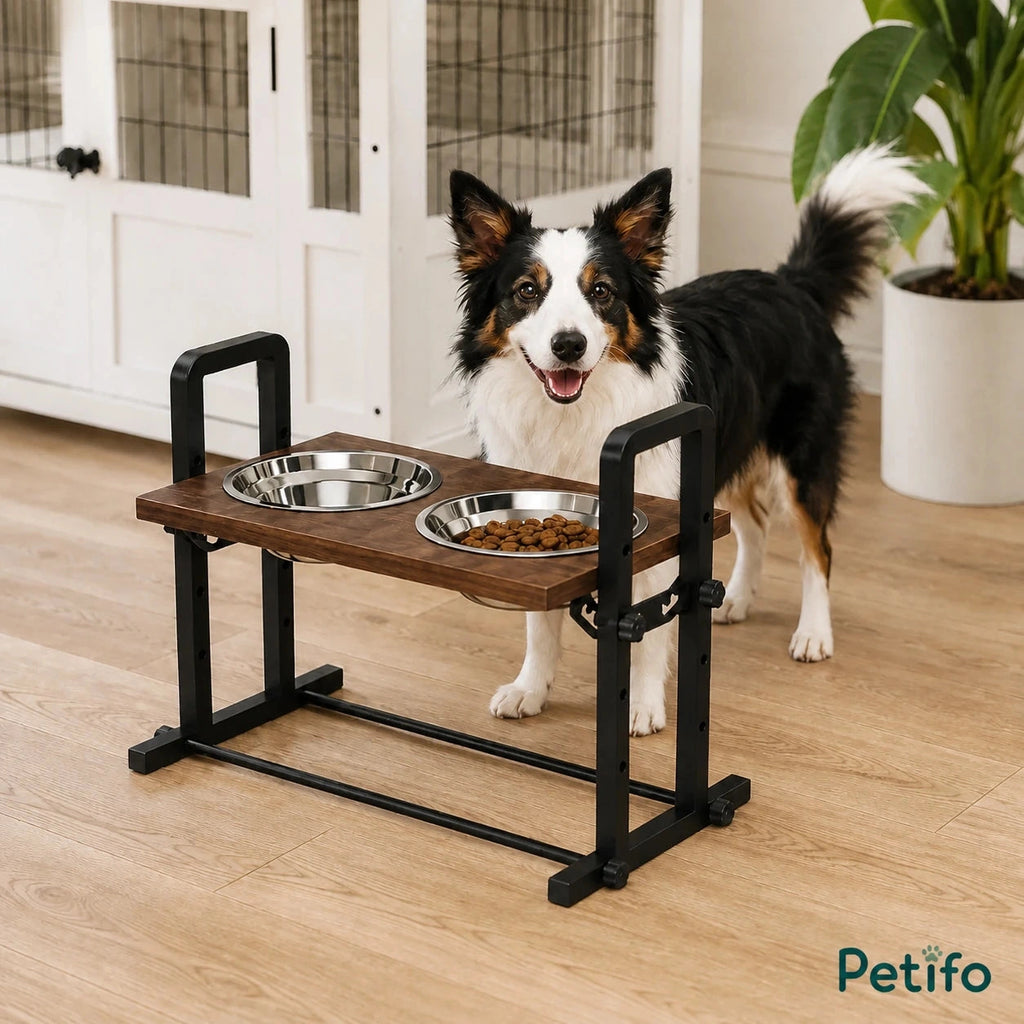 PawHut adjustable raised dog bowls: Border collie beside a raised two-bowl feeding station - Petifo